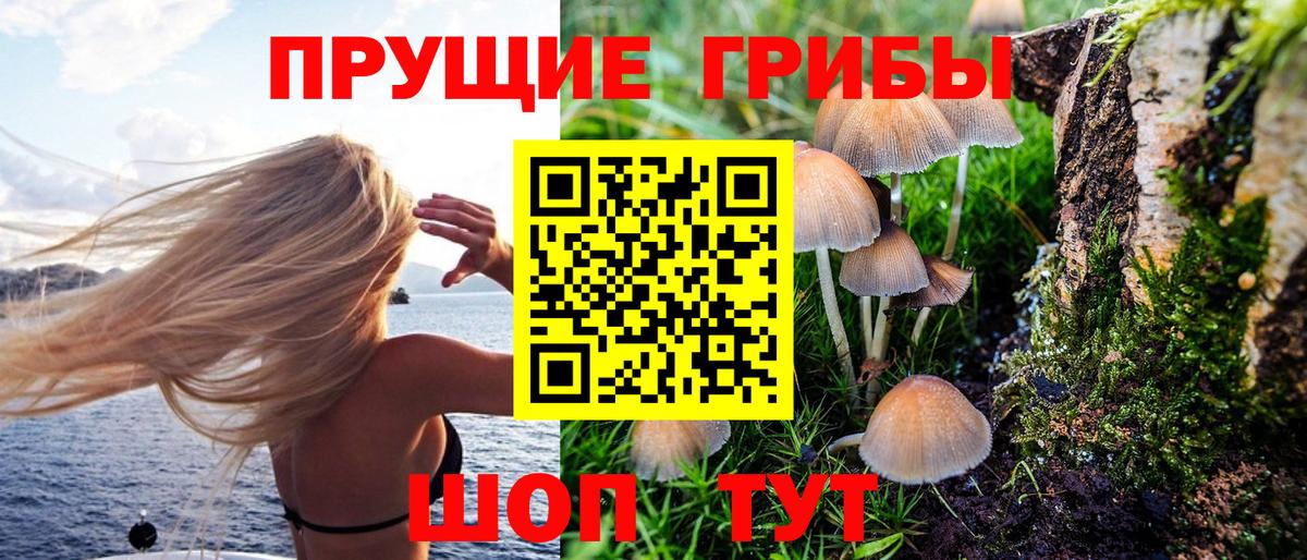 Галлюциногенные грибы MAGIC MUSHROOMS  Вход с VPN  Архангельск 