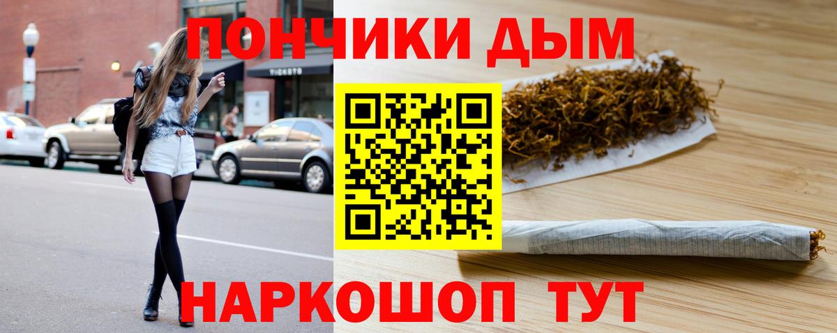 Бошки марихуана план  Вход с VPN  Марихуана AK-47  Шишки марихуана AK-47  Архангельск 